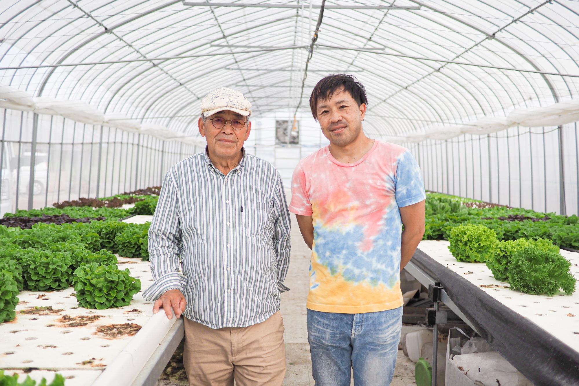 滋賀県初 ! サラノバレタス認定生産農家 / 【 湧水の恵みファーム / 近江八幡市】芳井 善弘さん