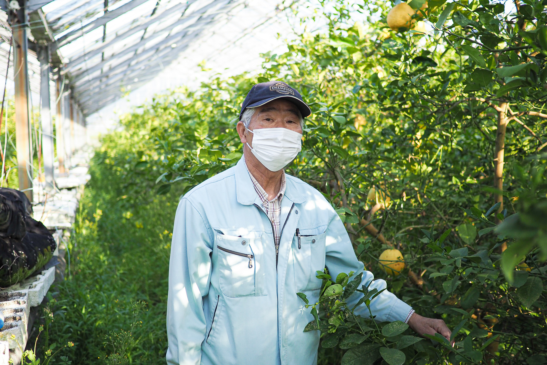 底しれぬ体力とバイタリティを持つ、ジャンボレモンの作り手 。【 ラチーノ農園/ 愛荘町 】山本晴夫さん